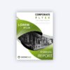 Corporate flyer template with annual report details.